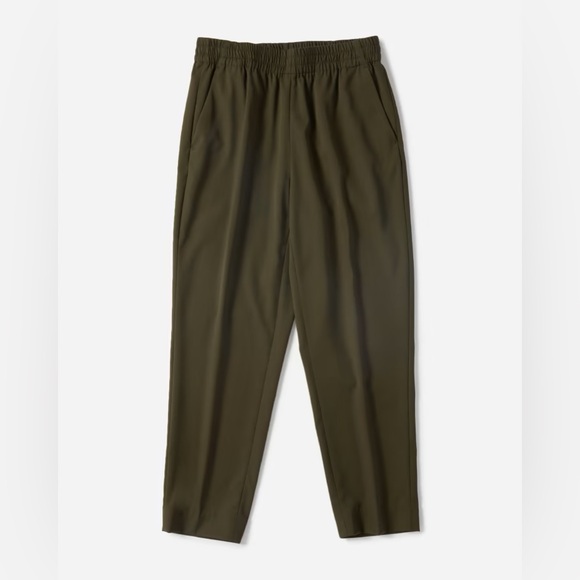 Everlane GoWeave Italian Wool pant - Picture 6 of 9